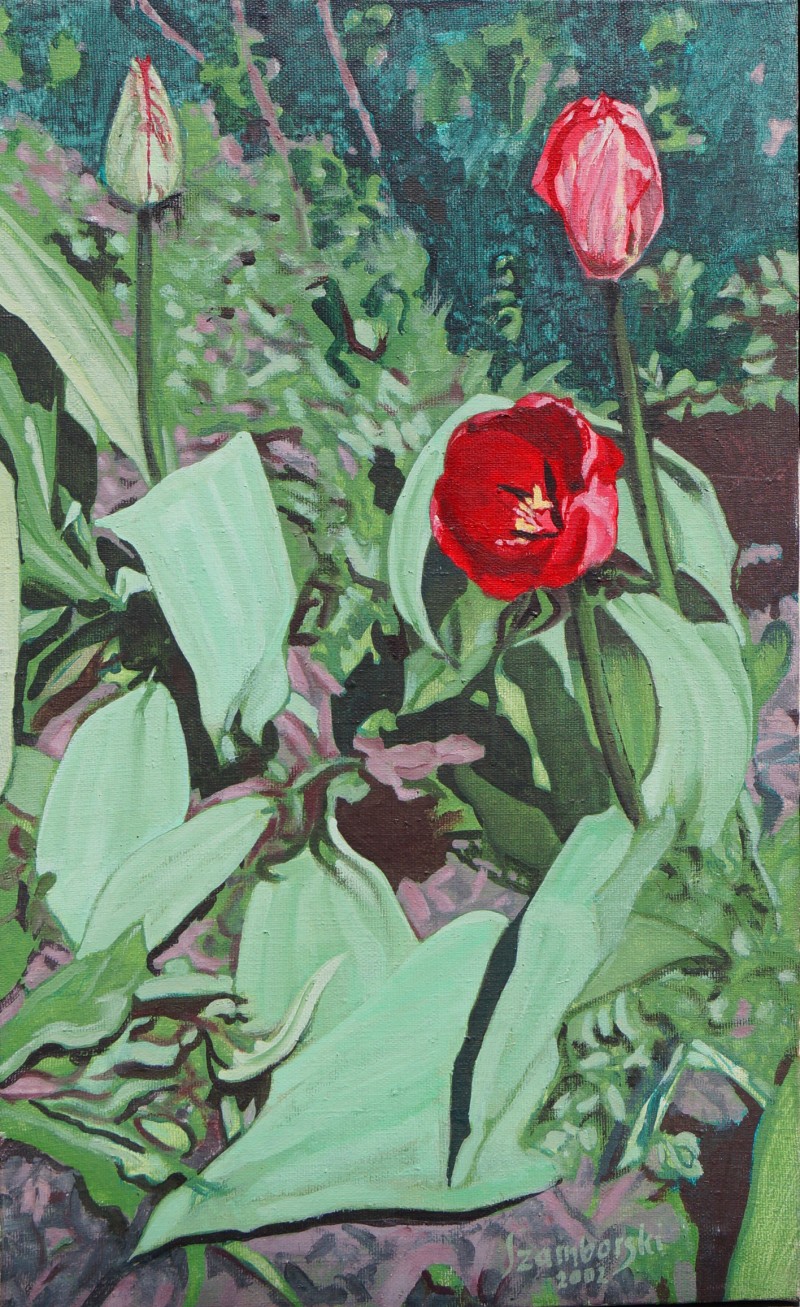 Rozkwitanie (trzy tulipany); Akryl, płótno wym. 65x40 cm, sygnowany, 2001r